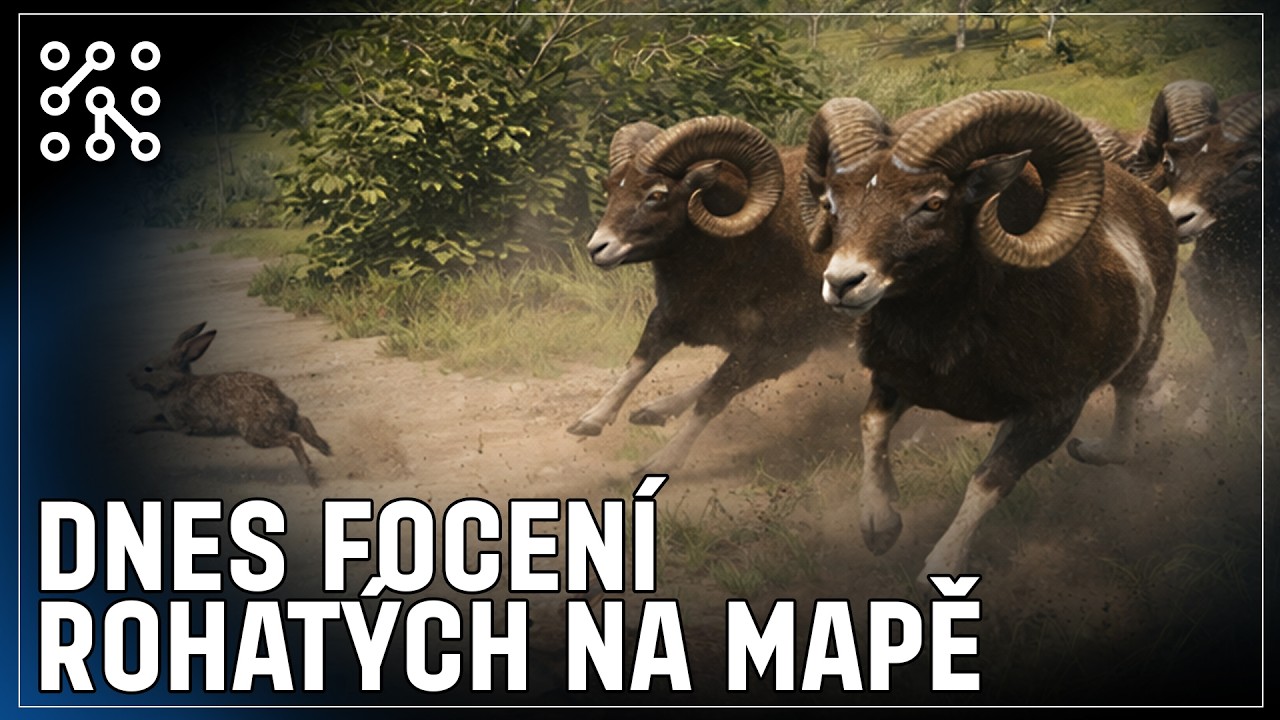 Úkoly na Cuatro Colinas | theHunter: Call of the wild CZ | Česky