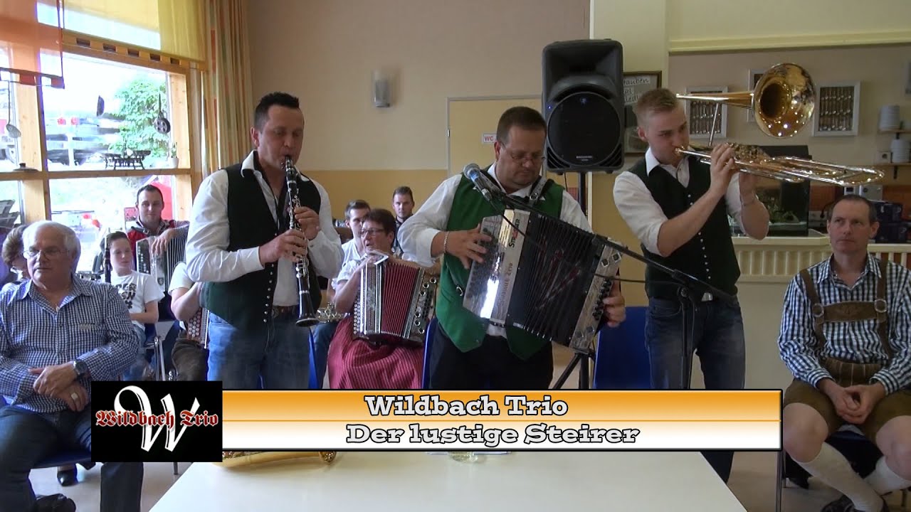 Lustiger Steirer - Wildbach Trio
