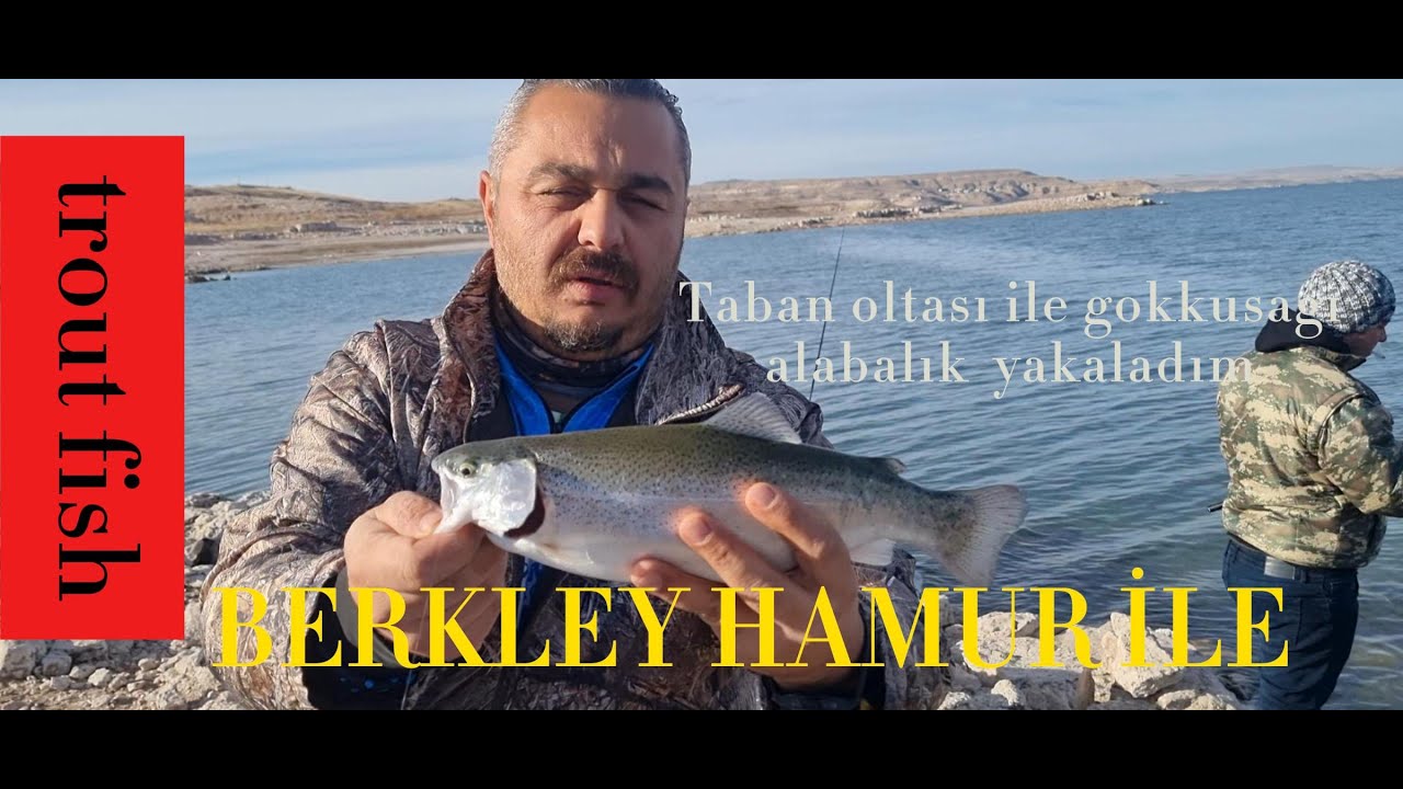 YAMULA BARAJINDA ALABALIK AVI YAKALA PİŞİR  #fishing #balık #berkley #alabalıkavı #keşfet #TROUT