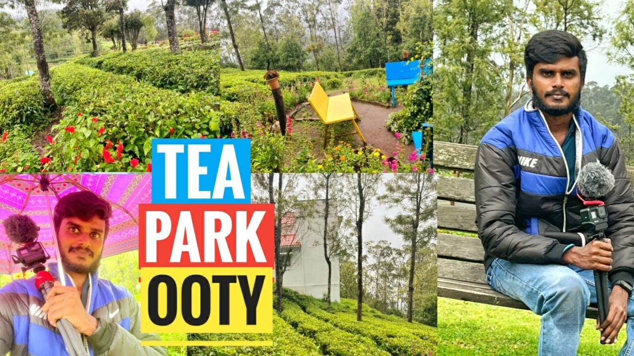 Tourist Places in Ooty|Bizarre Clicks| Nilgiris|Tea Park| Government Theatre #ooty #teapark #theatre