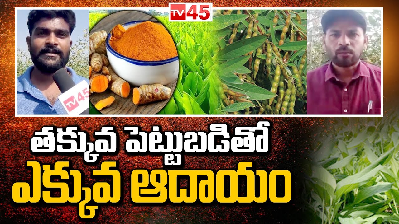 తక్కువ పెట్టుబడితో ఎక్కువ ఆదాయం | Red Gram Cultivation | Kandhi Panta | TV45