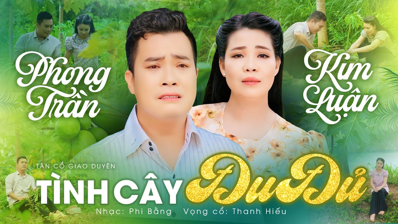 Tình Cây Đu Đủ - Phong Trần ft Kim Luận | Cặp Đôi Tân Cổ Tình Yêu 2024 Nghe Mà Tan Nát Cõi Lòng
