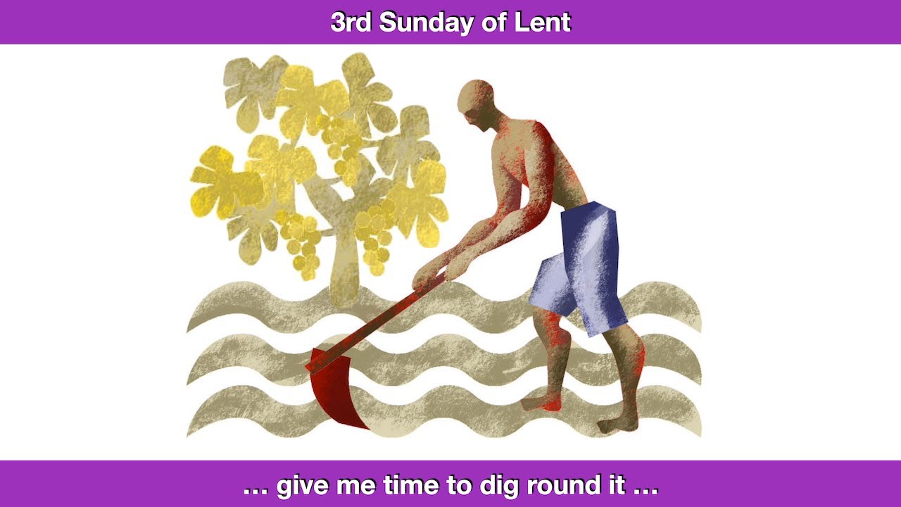 Give me time to dig round it.  Homily for the 3rd Sunday of Lent, Year C.