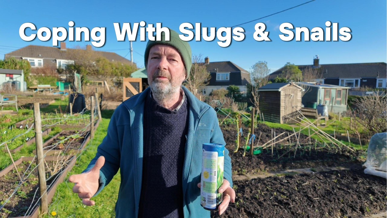 Slugs and Snails | What 30 Years of Gardening Have Taught Me