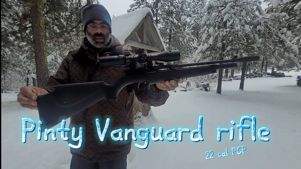 Pinty 🛡 Vanguard 🏹 Первые выстрелы из винтовки PCP 22 калибра 🎯 