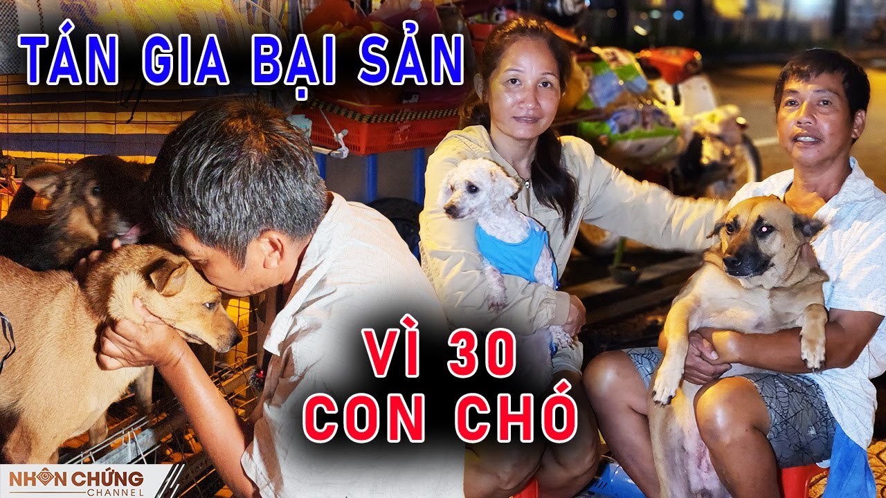 2 vợ chồng giàu có giờ tán gia bại sản phải sống lang thang chỉ vì 30 CON CHÓ | Nhân Chứng Channel