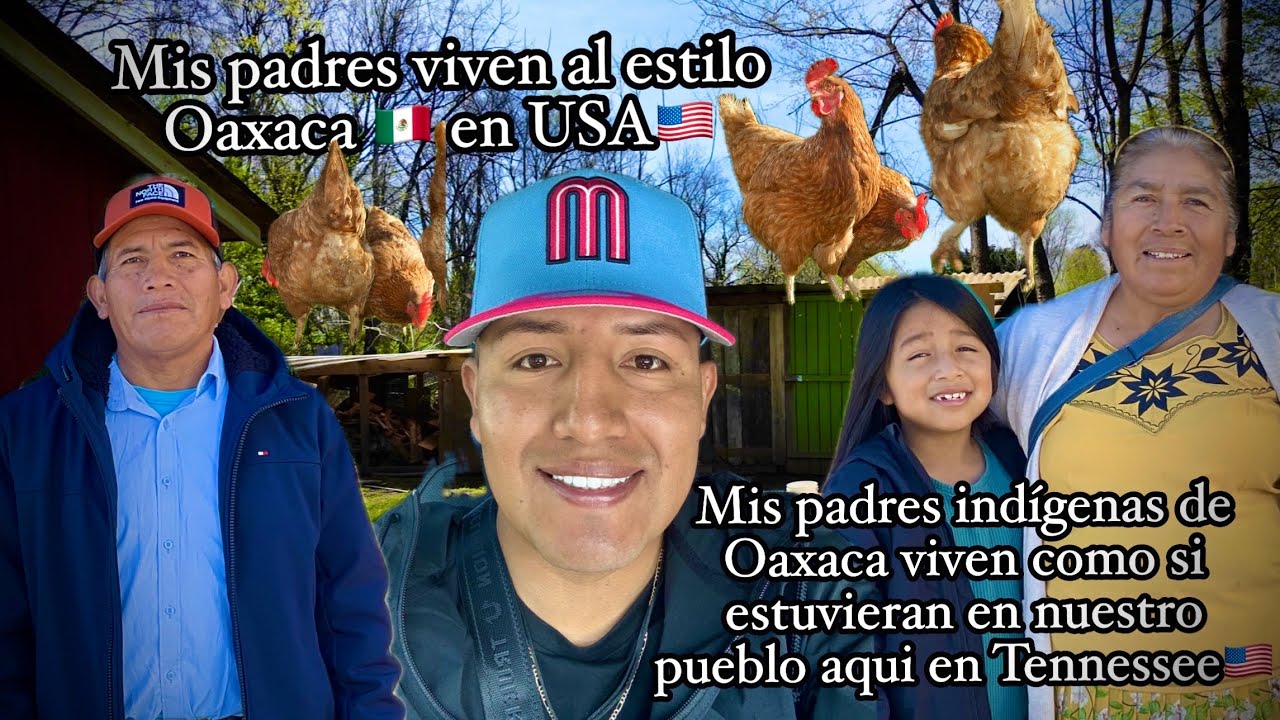 Mis padres indígenas viven al estilo del rancho en USA 🇺🇸 comen puro pollos criollos 🍗