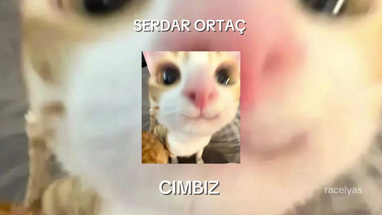 Serdar Ortaç-Cımbız SPEED UP  #keşfet #speedup