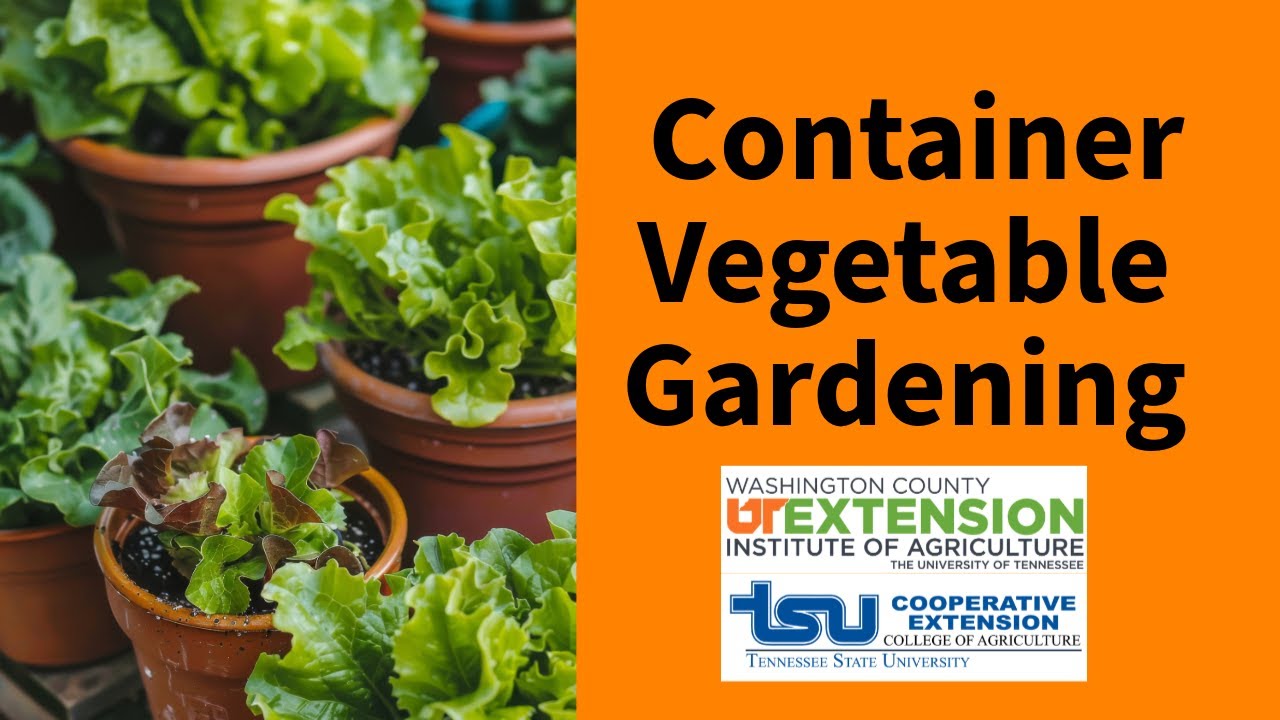 Container Vegetable Gardening