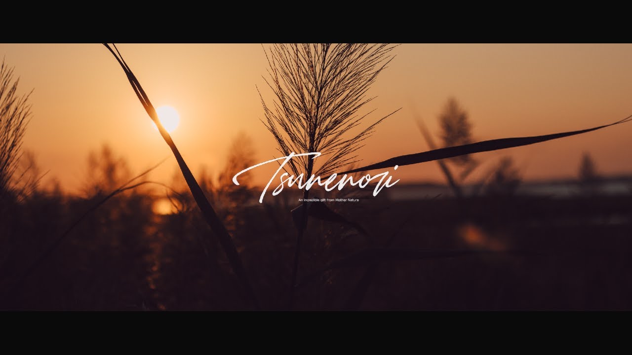Tsunenori - An Avenue [2023 Version]