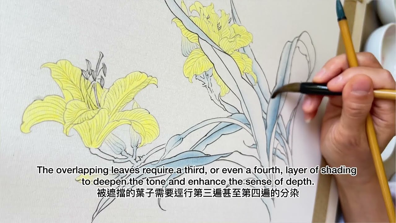 Gongbi painting Daylily. 分染萱花正葉的底色。
