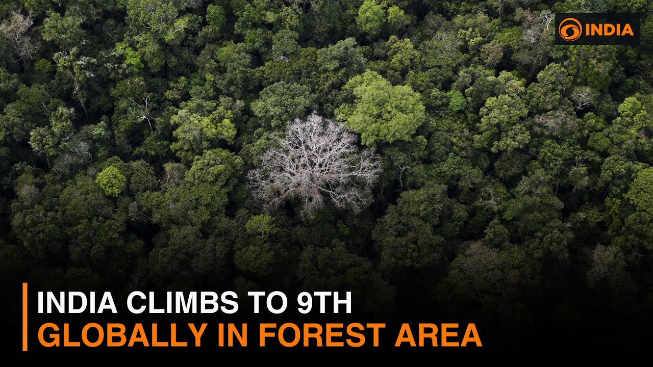 India Climbs to 9th Globally in Forest Area & more updates | DD India News Hour