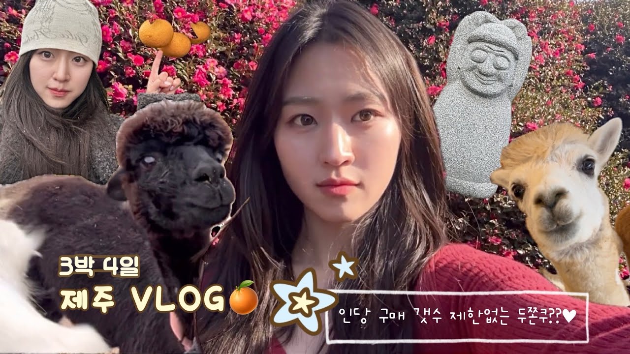 VLOG 🍊1월 제주도 추천 맛집•장소•포토스팟 | 구매갯수 제한없는 두쫀쿠?! | 겨울 제주도 브이로그🌺