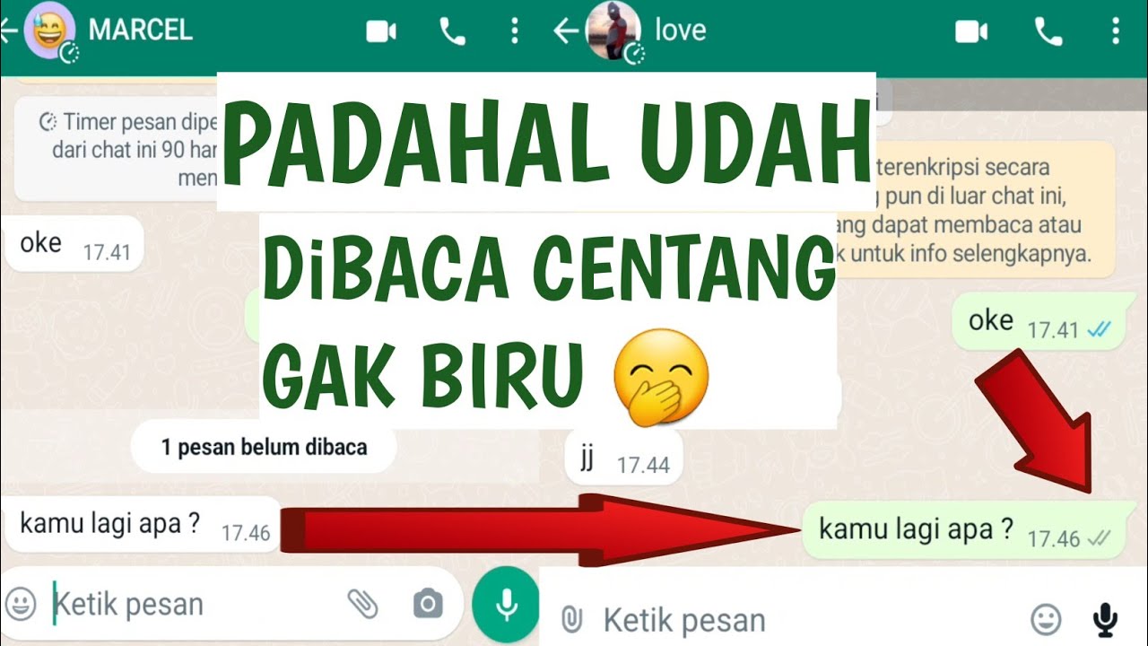 Cara Baru Menonaktifkan Centang Biru Di Whatsapp