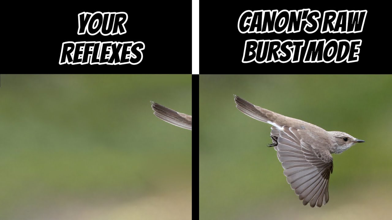 Canon's Time Machine? Pre Shooting With Raw Burst Mode.