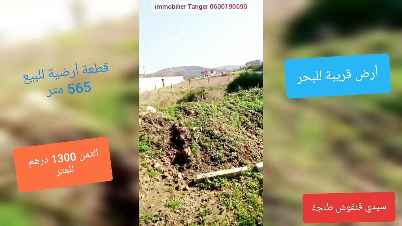 قطعة أرضية سيدي قنقوش 565 متر الثمن 1300 درهم للمتر أرض ملكية