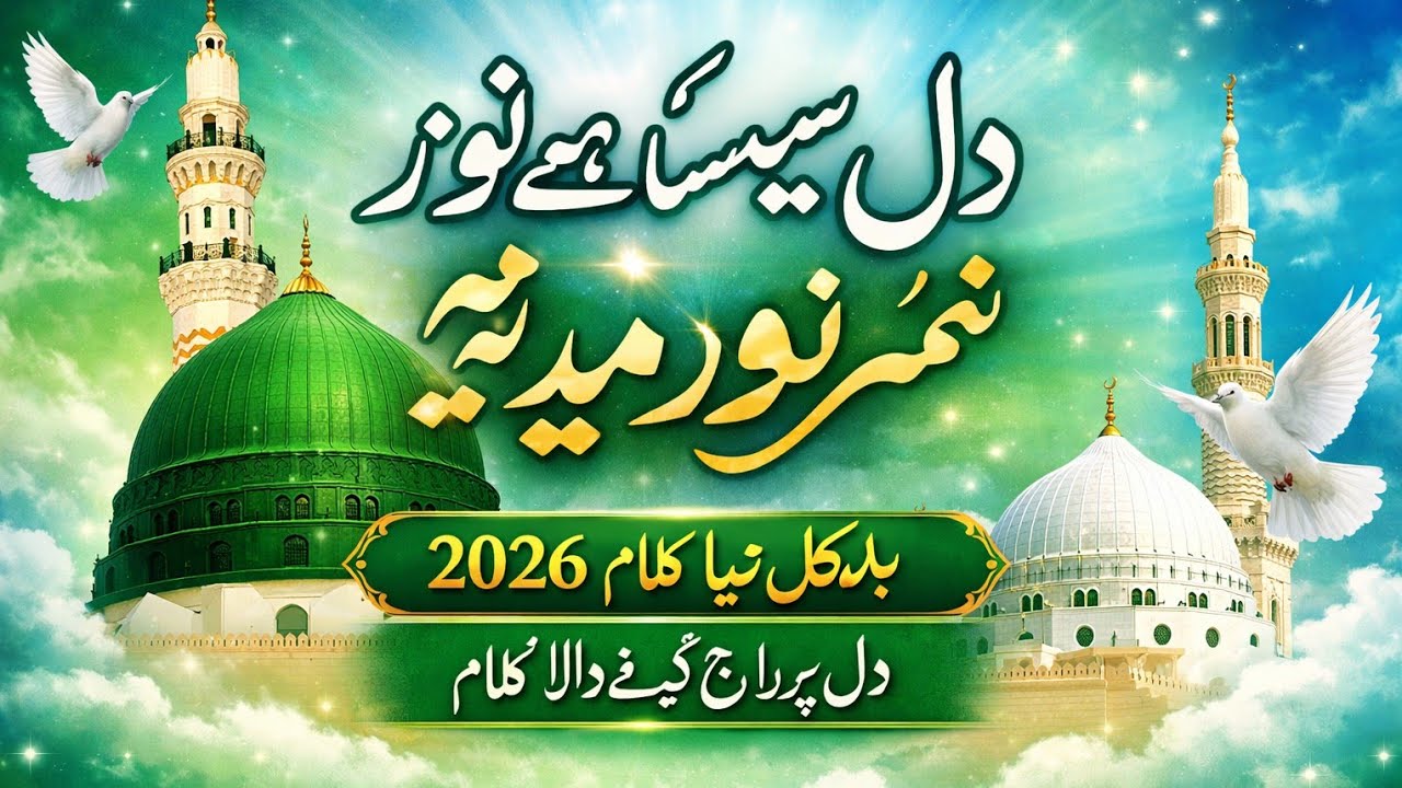Herat touching Naat | Noor of Muhammad in My Heart | viral Naat 2026 | bay niazalisha242