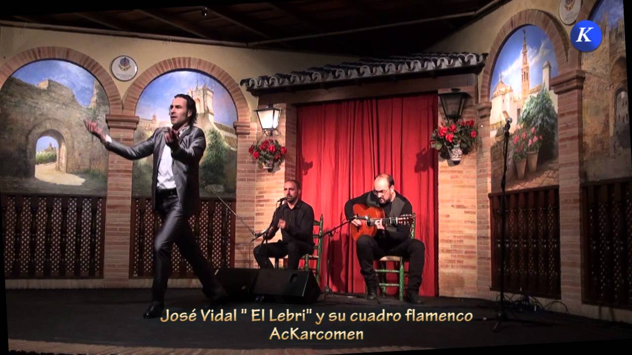 José Vidal 