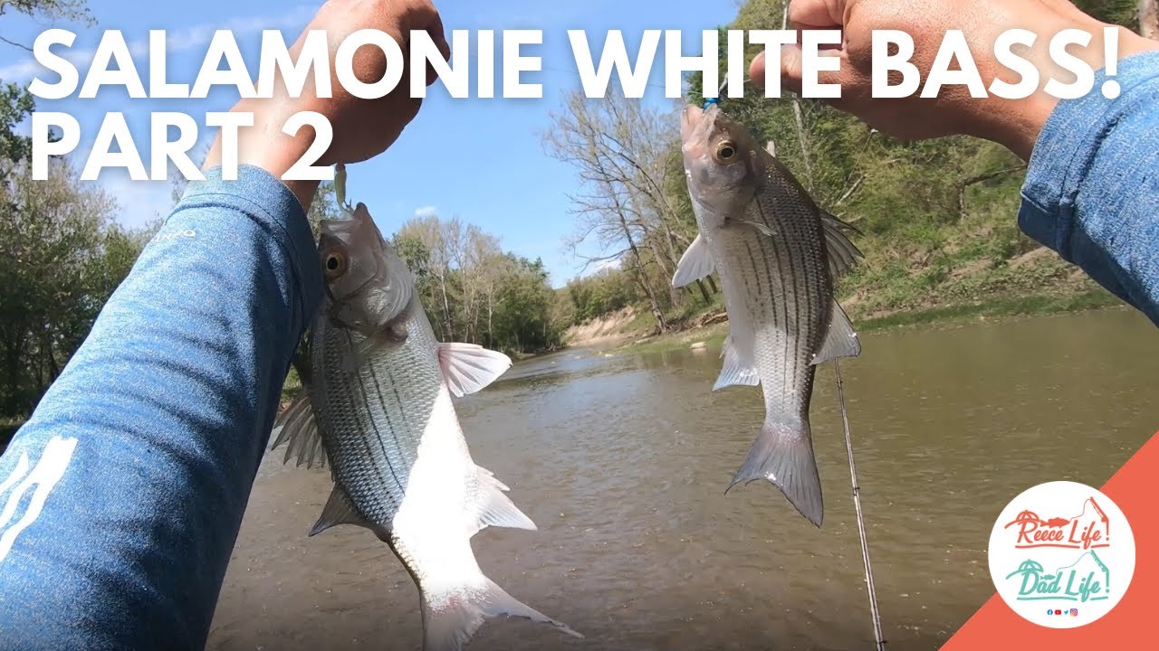 Can't keep them off my hook! - Salamonie River White Bass Fishing May 2022 Part 2