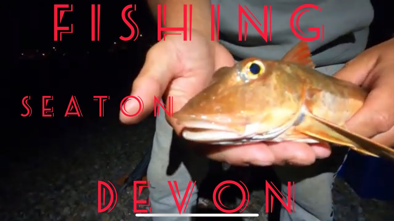 UK BEACH FISHING - seaton south Devon - #fishing #saltwaterfishing #fyp