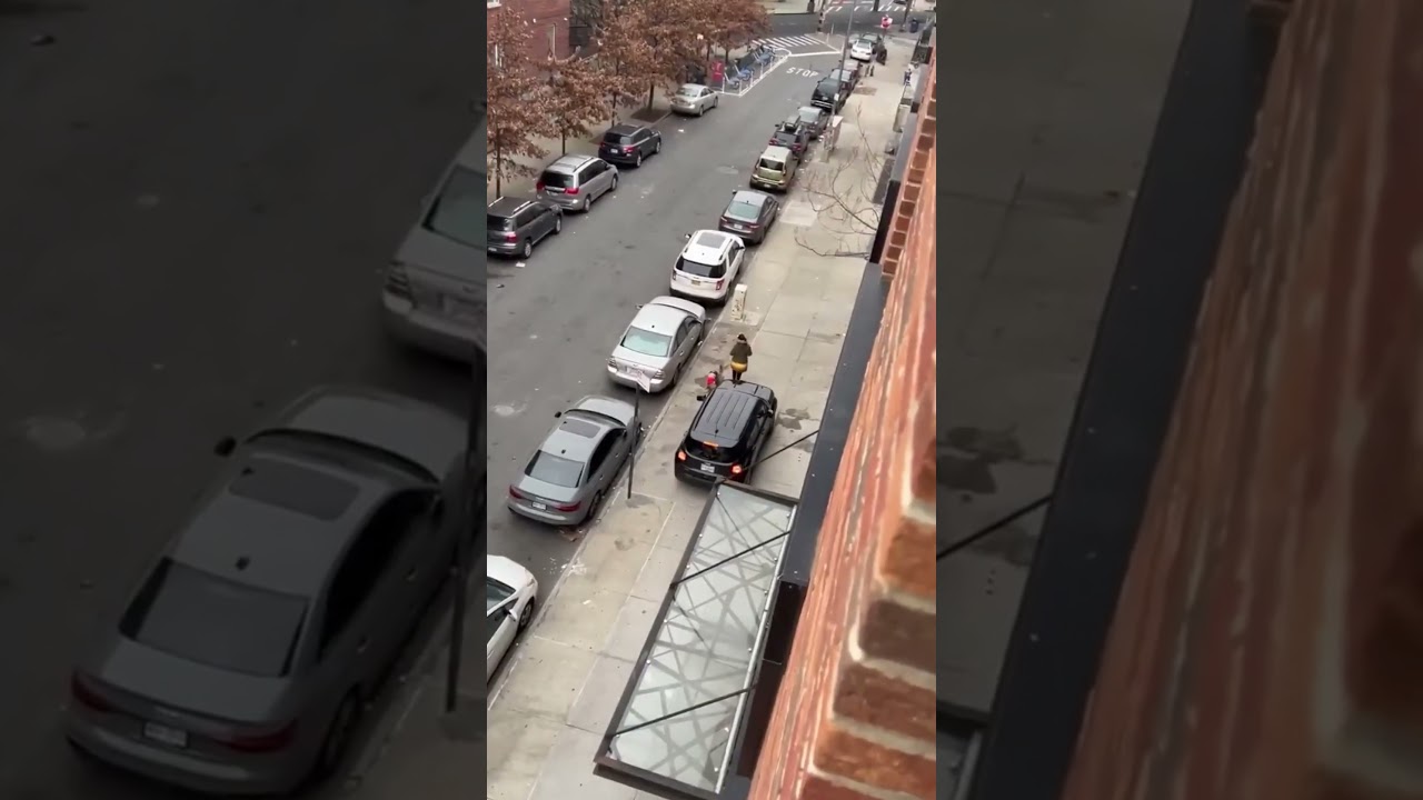 Entitled NYC Driver Takes Sidewalk As a Shortcut - Nearly Hits Women Walking Her Dog!