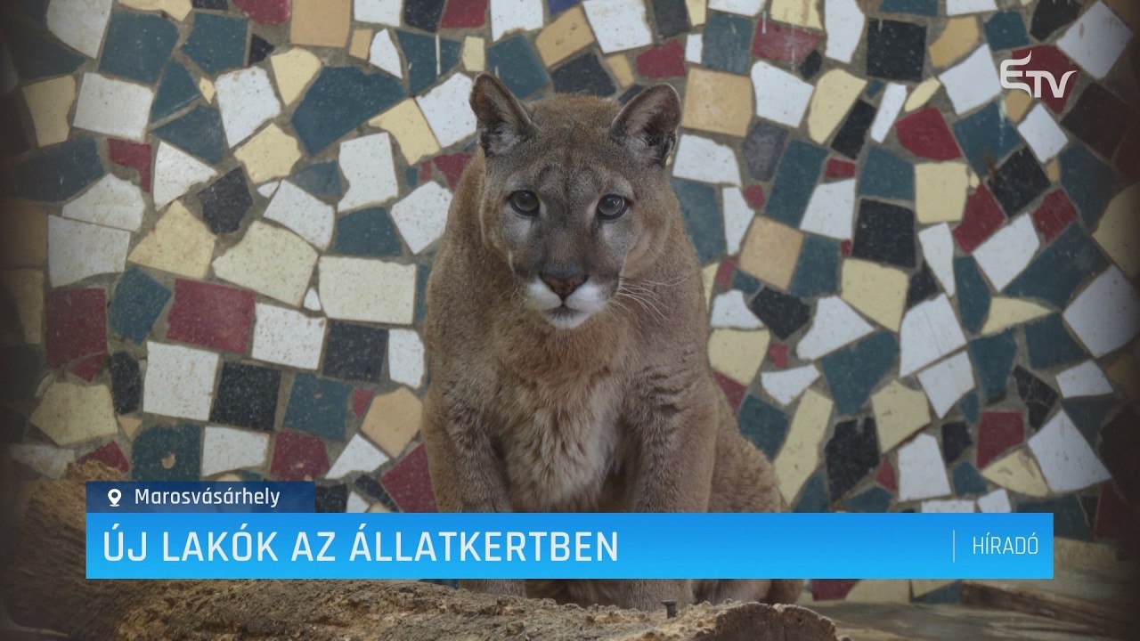 Új állatok a Marosvásárhelyi Állatkertben – Erdély TV