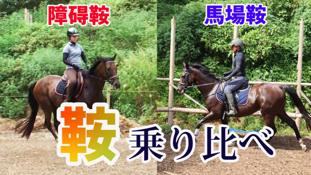 鞍乗り比べ！馬場鞍/障碍鞍６個乗ってみた