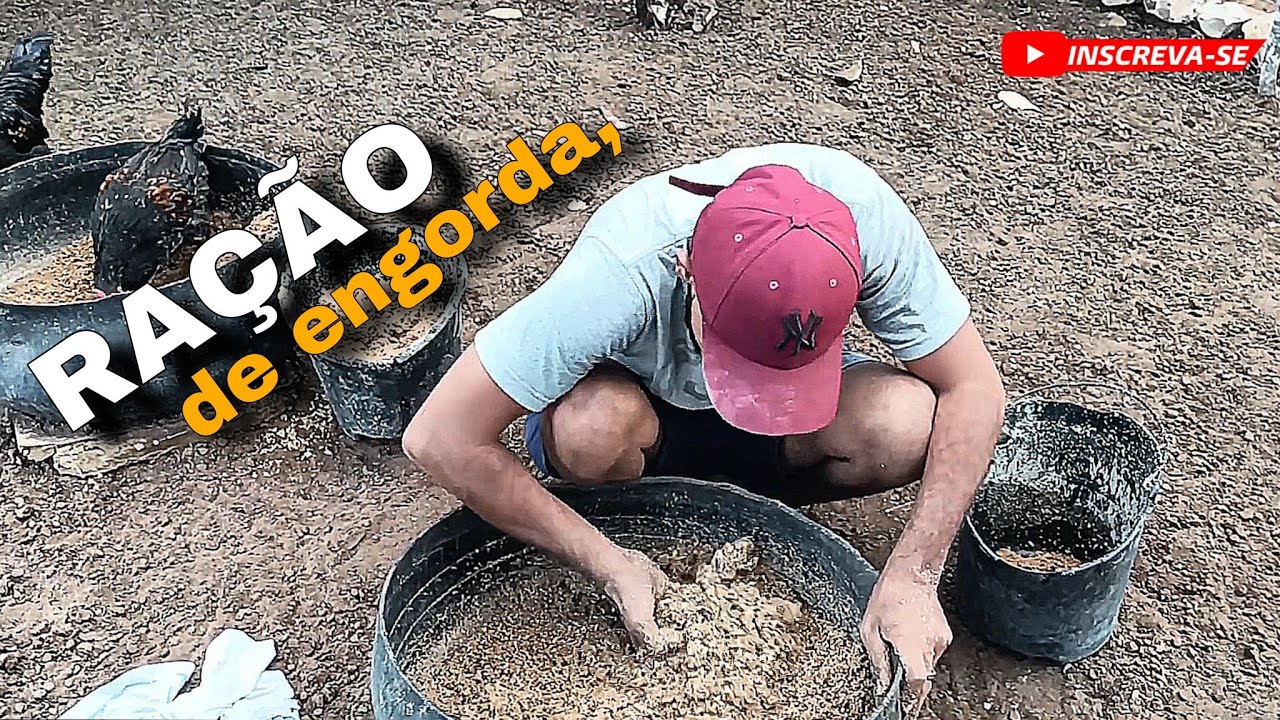 NOVA RAÇÃO DE ENGORDA!☝️ (Lucas na roça)