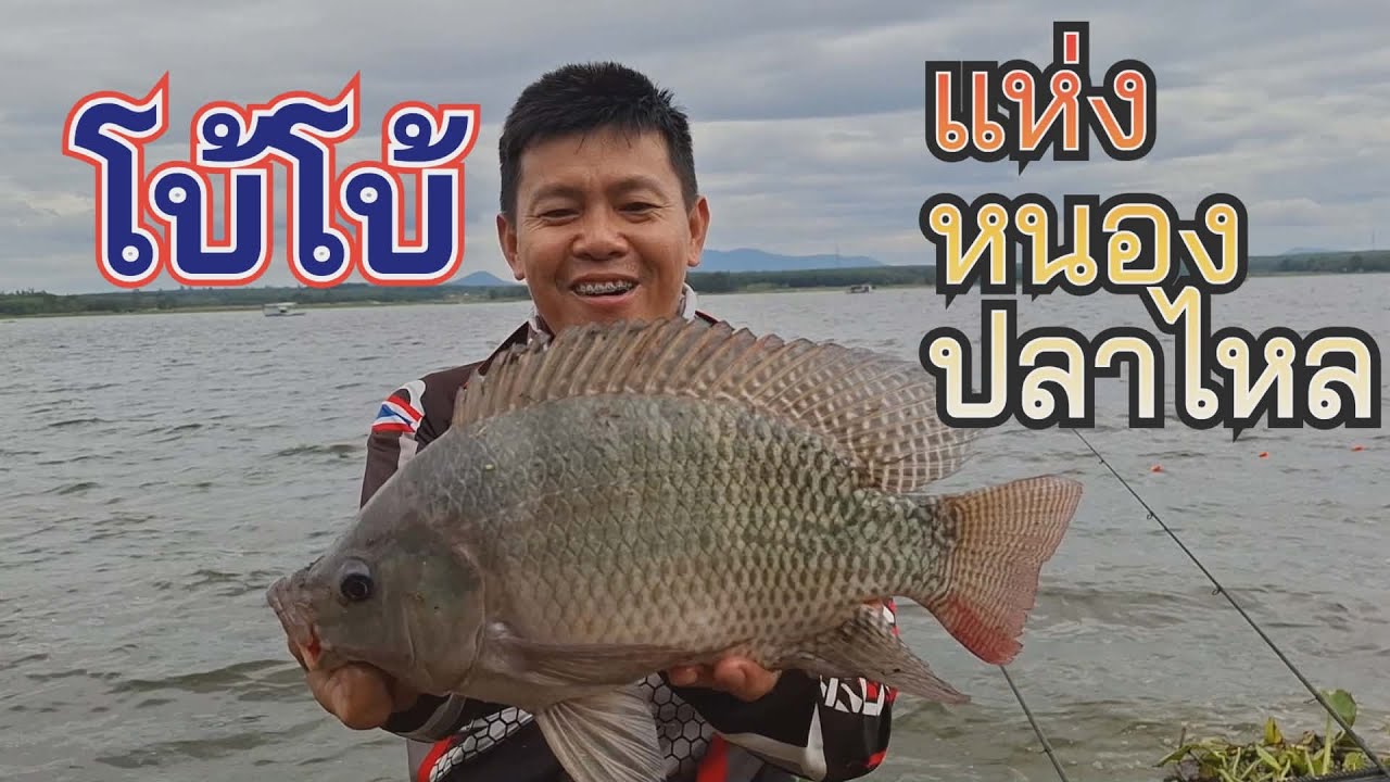 โบ้โบ้ แห่งหนองปลาไหลมาแล้ว (คลิปที่455)