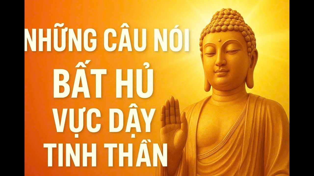 Những Câu Nói Bất Hủ Vực Dậy Tinh Thần | Bài Học Ý Ngĩa Về Cuộc Sống - Ngẫm Mà Sống