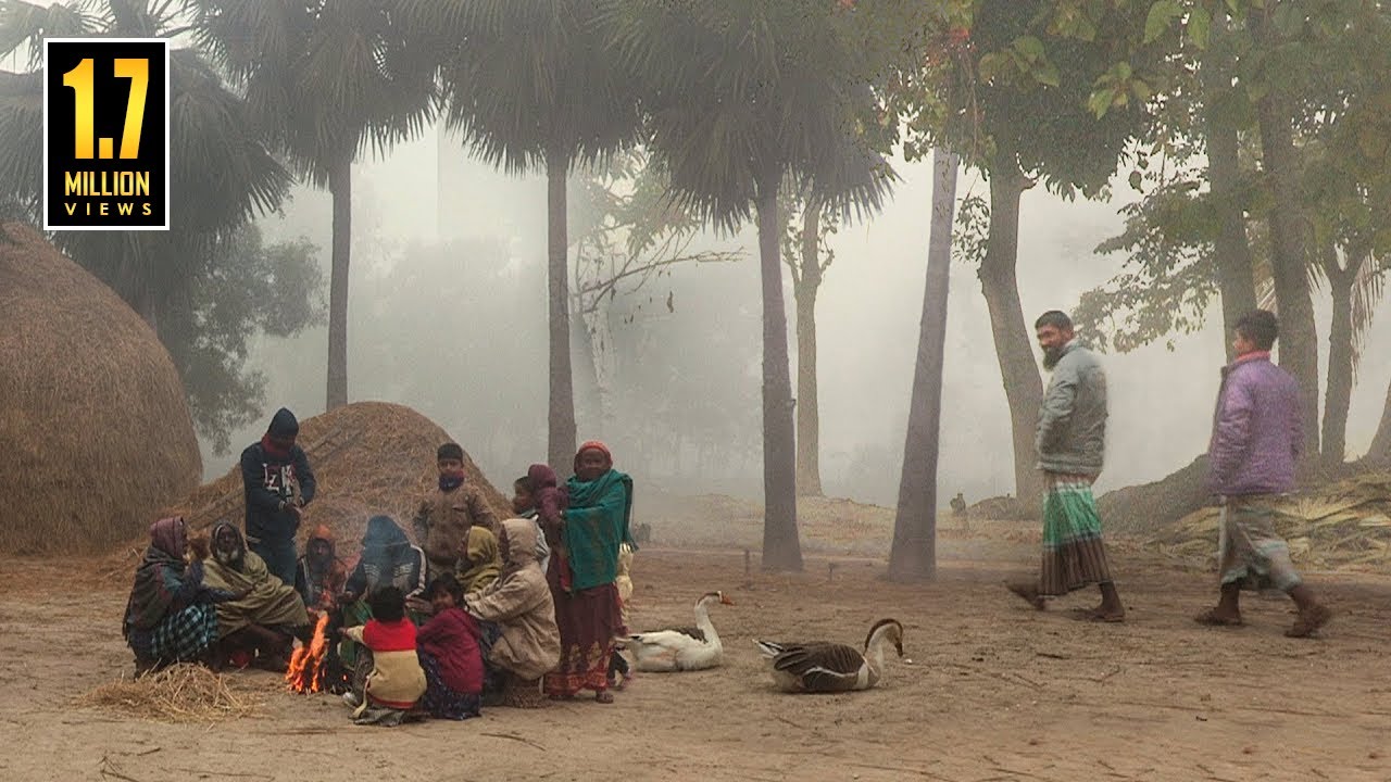 কুয়াশার চাদরে মোড়া সিরাজগঞ্জের বাকাই গ্রাম (২০২৩) || @PanoramaDocumentary