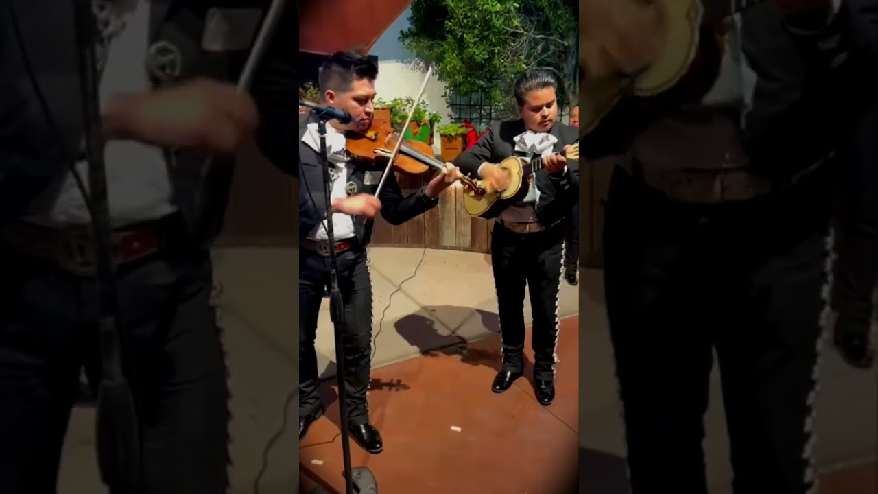 El Gustito - Mariachi Continental Azteca de AZ (fragmento solo)
