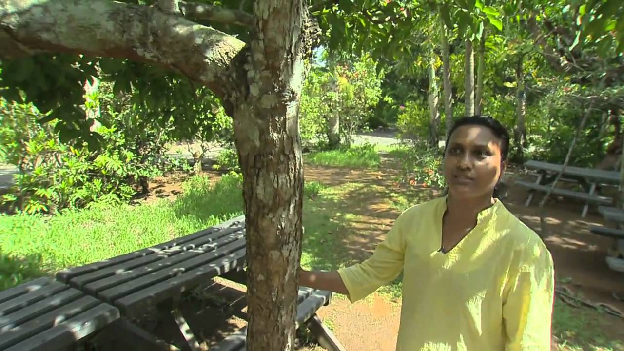 La maison créole Eurêka et son jardin à l'Ile Maurice