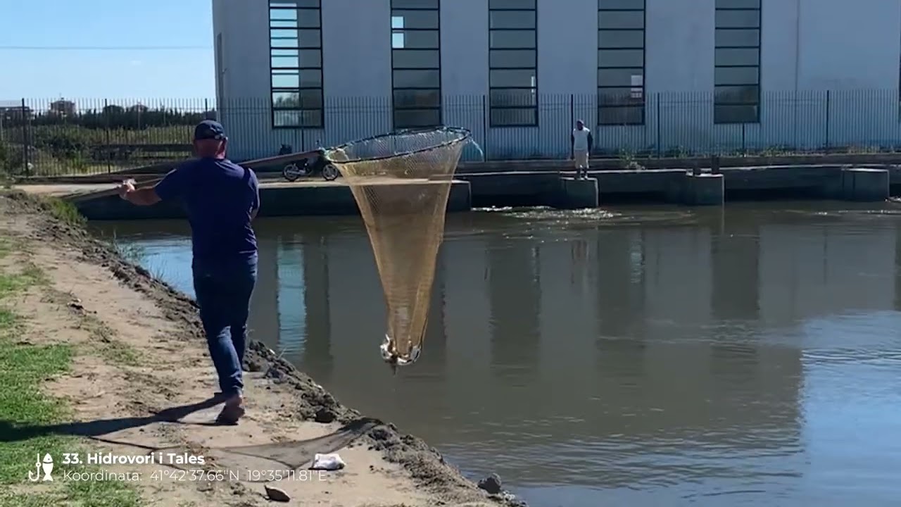 33  Hidrovori i Tales