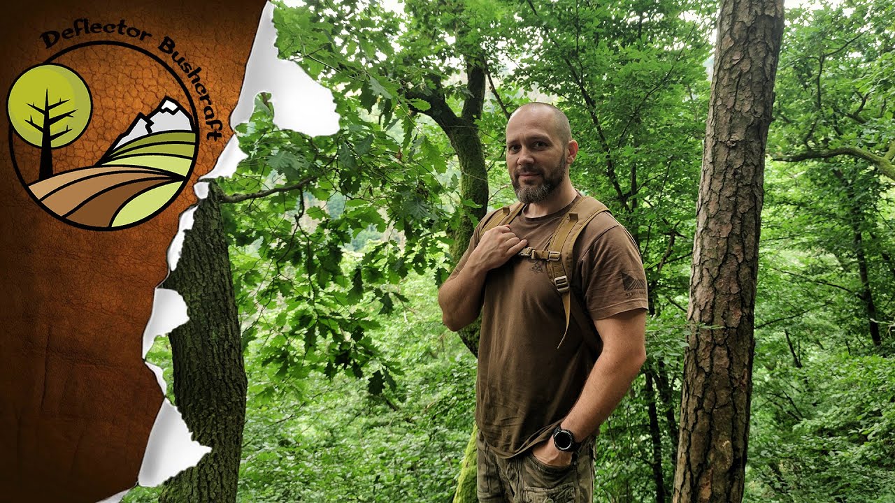 Poznávání listnatých stromů ➠ Lesnická dendrologie 🌳🌱💚🌿🍃