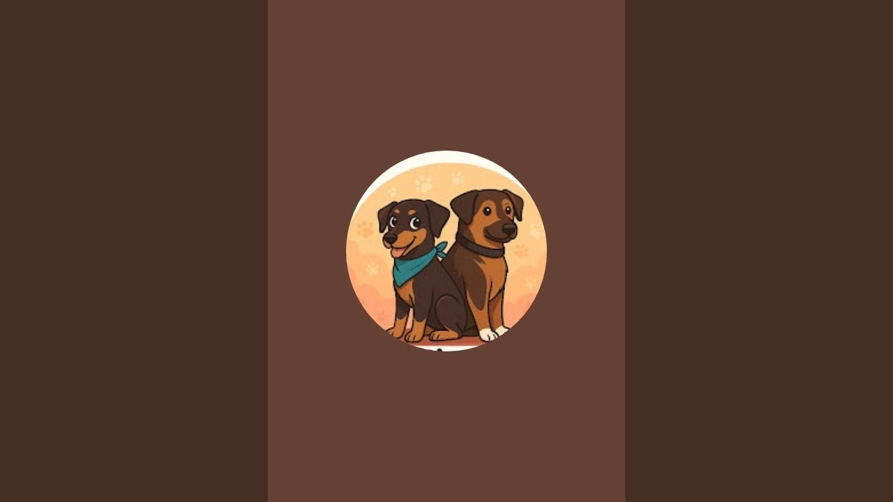 Pawsitive Vibes Family is live