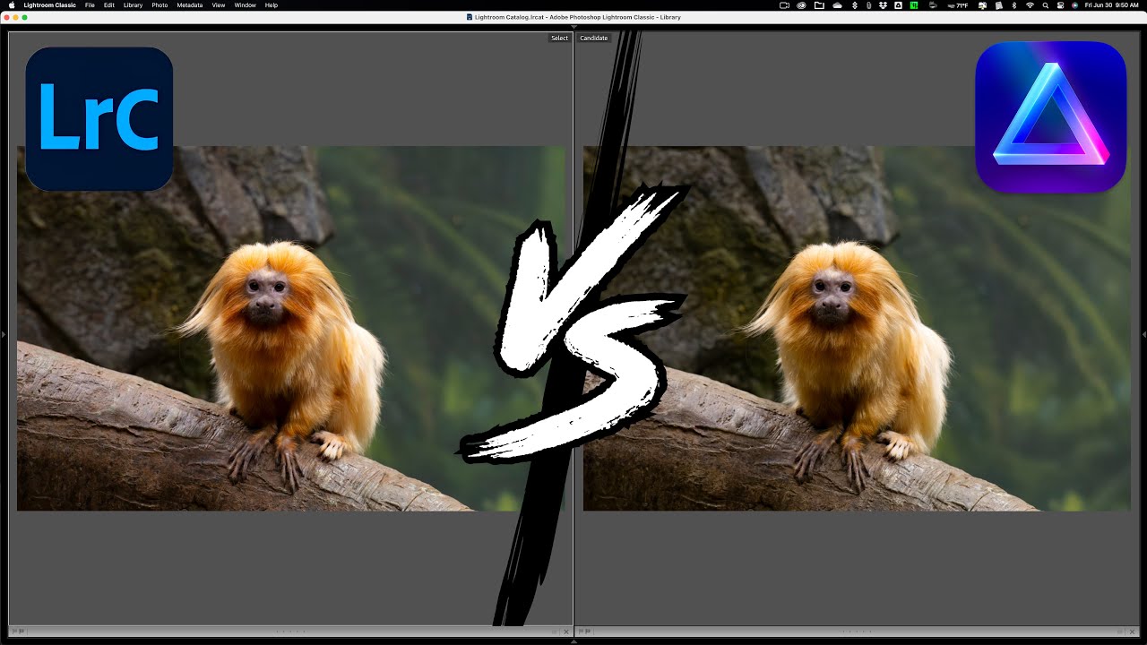 Резкость и шумоподавление в Topaz Photo AI ЛУЧШЕ, чем в Lightroom?