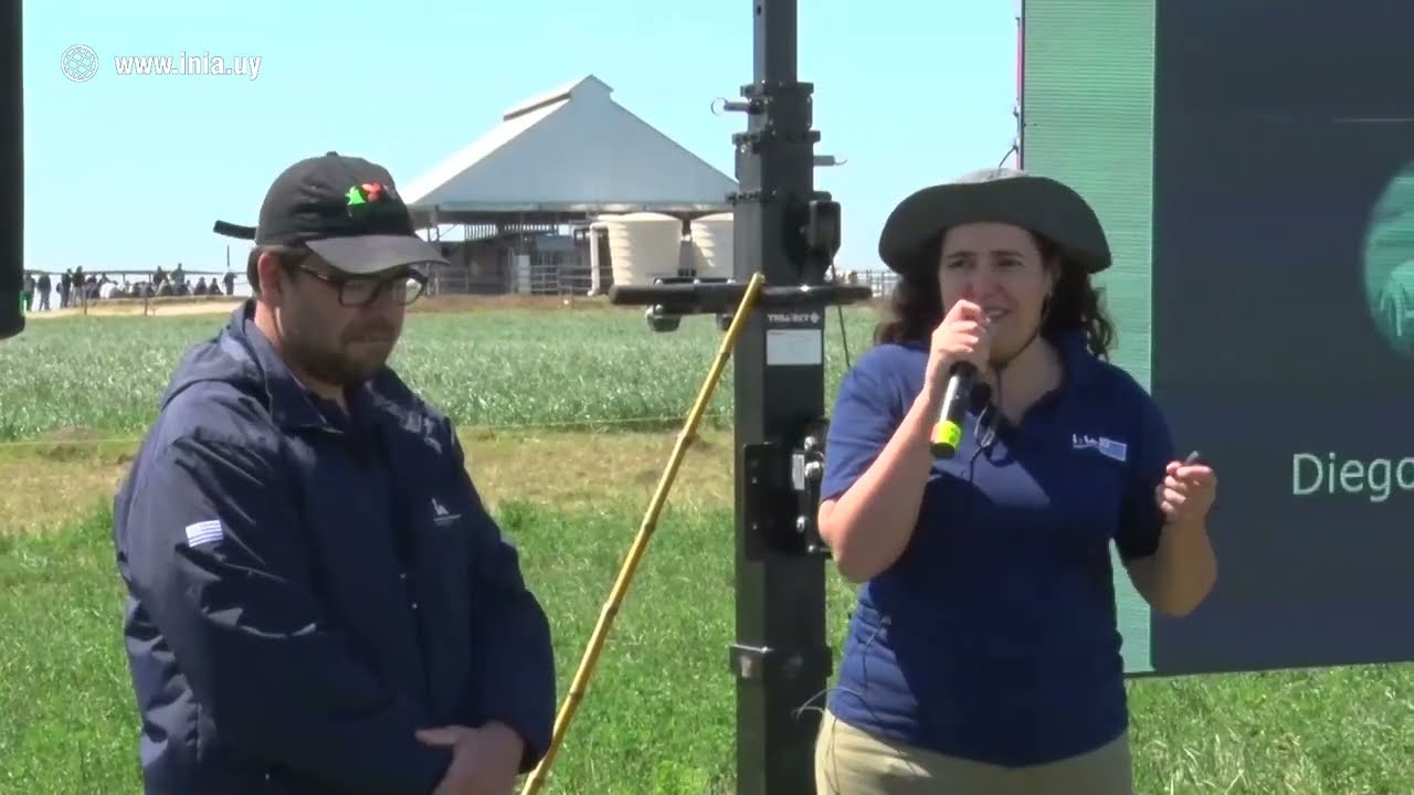Monitoreo y manejo del pasto 3R en tambo