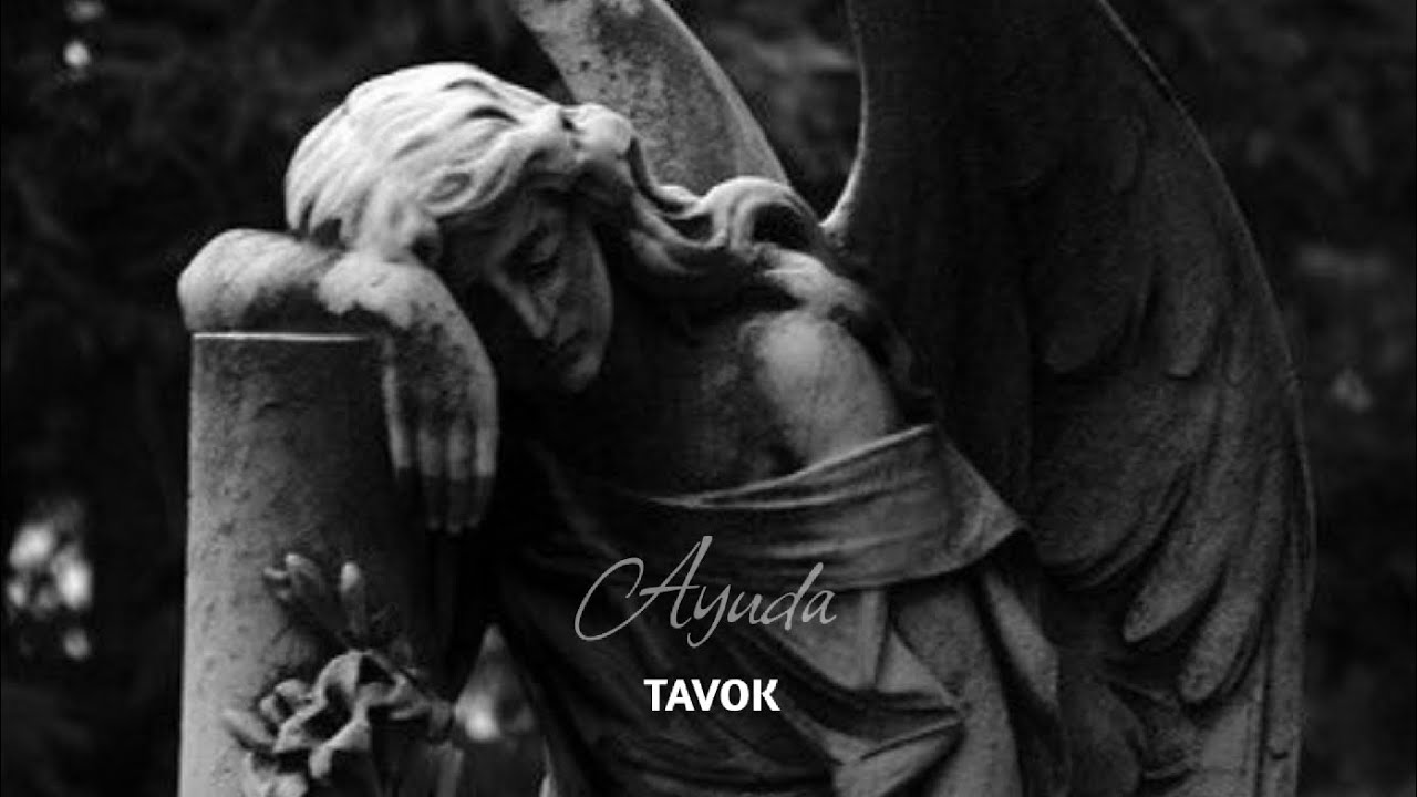 Ayuda - TAVOK