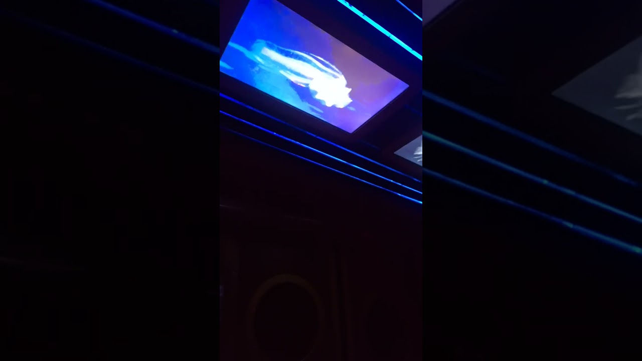 海洋列車（海濱站 ---》高峰站）