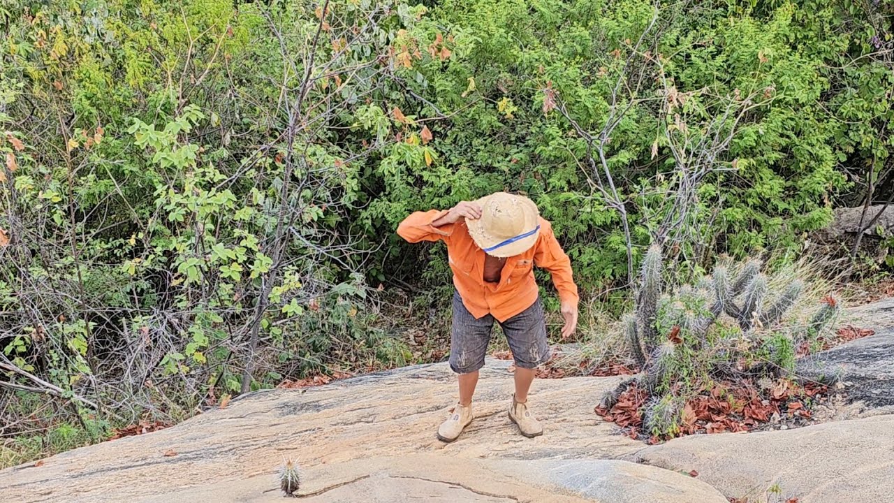 Seu mane foi atingido por uma pedra  #comedia #viralshort #humor #viralvideo