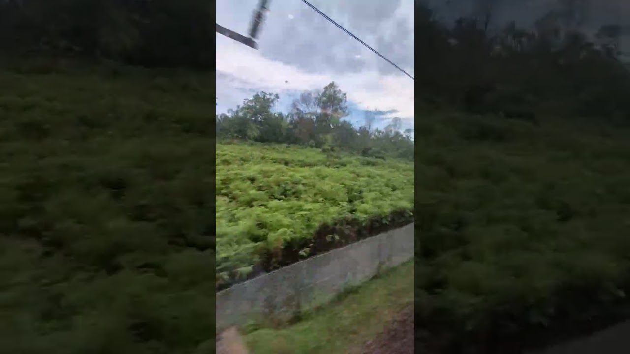 Siemens Desiro ET425M going at full speed
