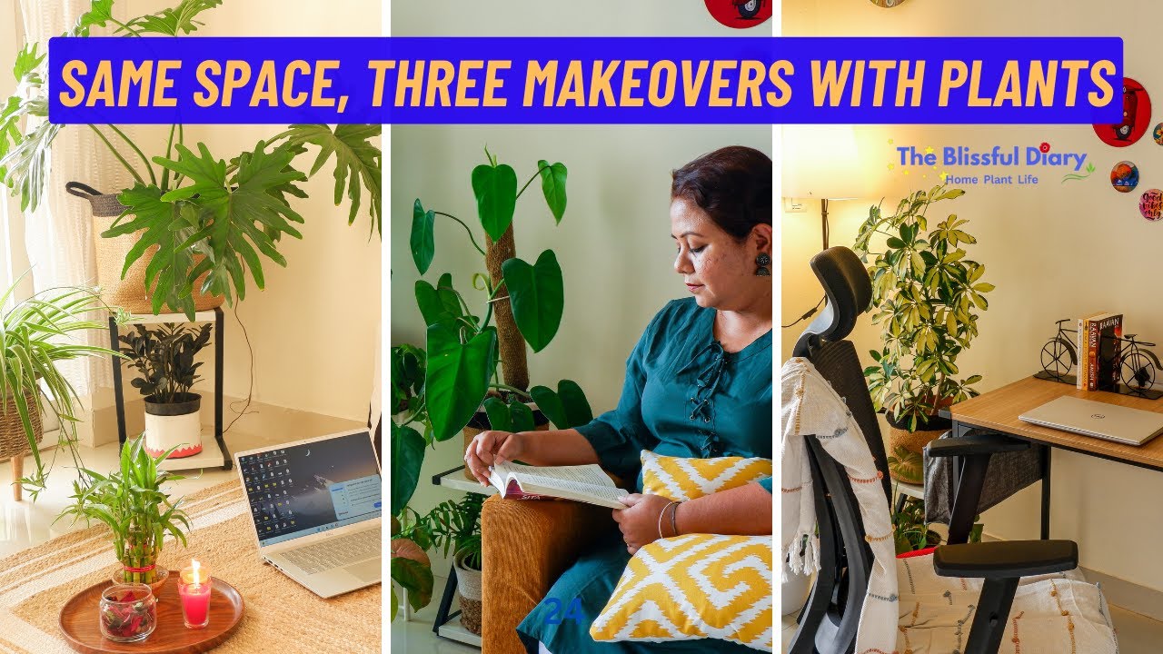 Home Decor With Plants: Same Space, Three Ways | Plant Based Home Makeover