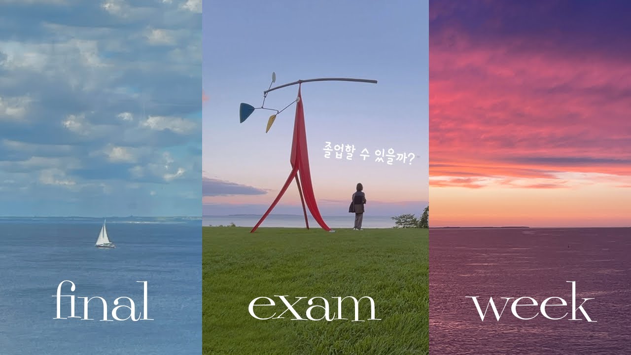 🇩🇰 덴마크 유학생 브이로그 | 졸업 시험🥶 백야 덕분에 볼 수 있었던 인생 노을, 루이지애나 뮤지엄