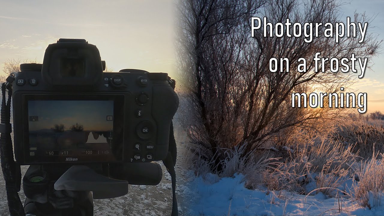 Winter Wonderland | Landscape Photography