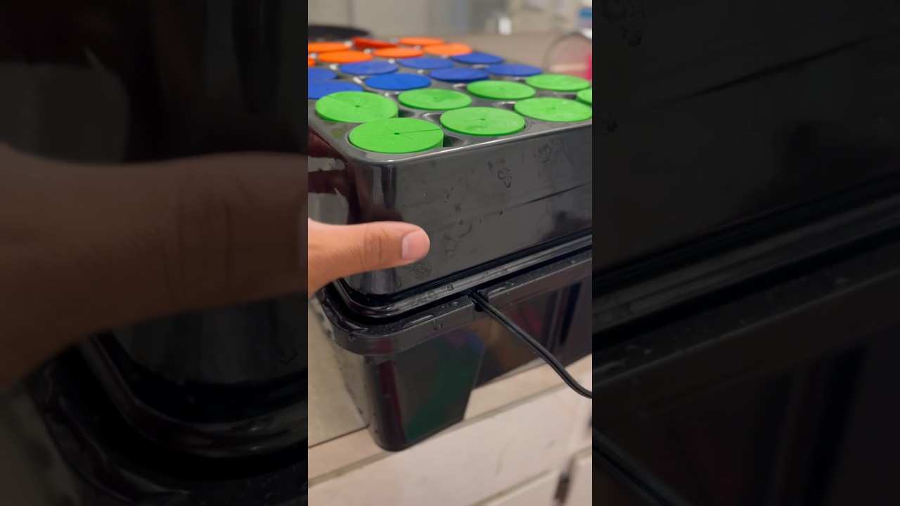 Clone machine from Amazon #grow #oddlysatisfying