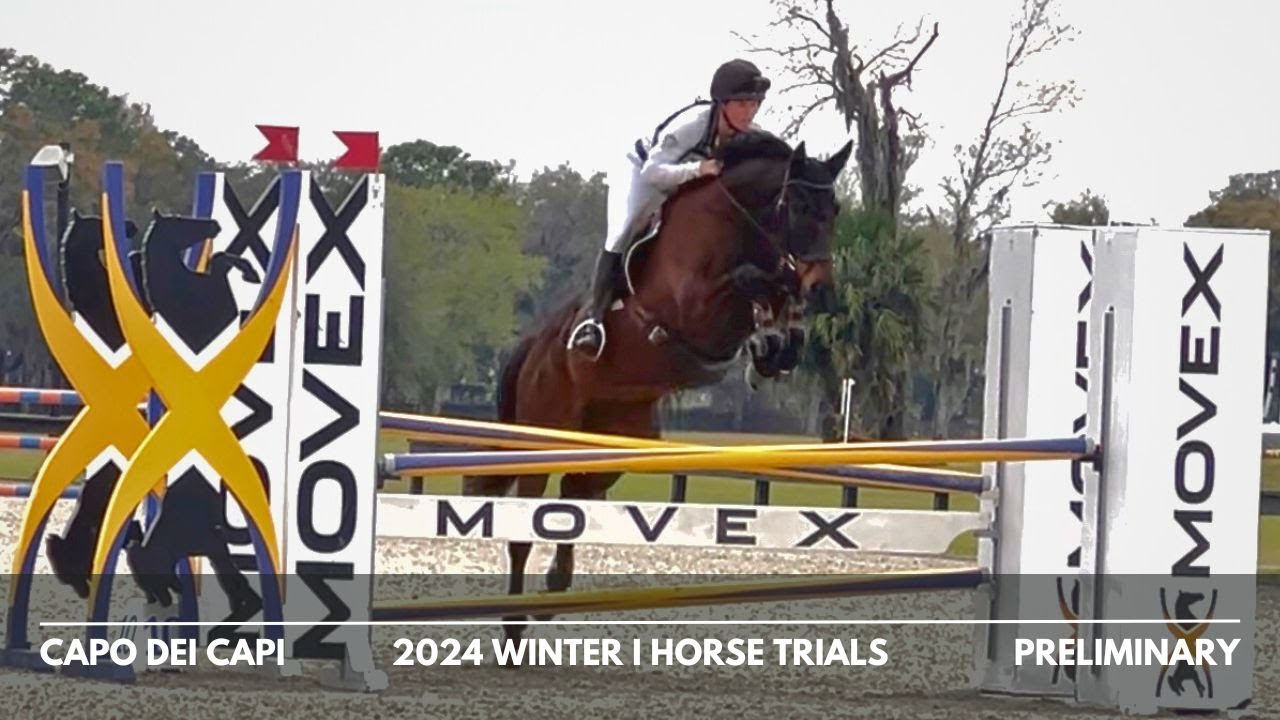 Capo dei Capi (Preliminary | 2024 Ocala Winter I Horse Trials)