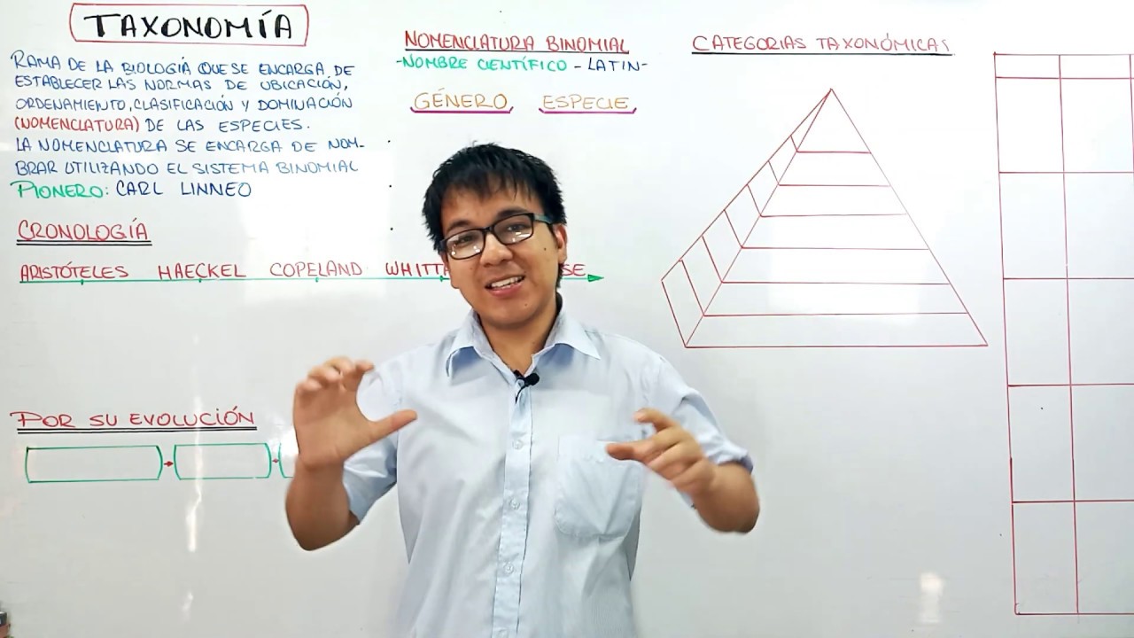 TAXONOM&Iacute;A I