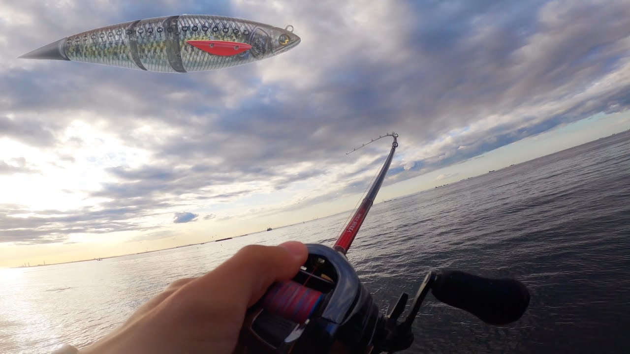 ビッグベイトで狂ったように魚が湧いてくるスーパー朝マズメ【東京湾ビッグベイトシーバス】