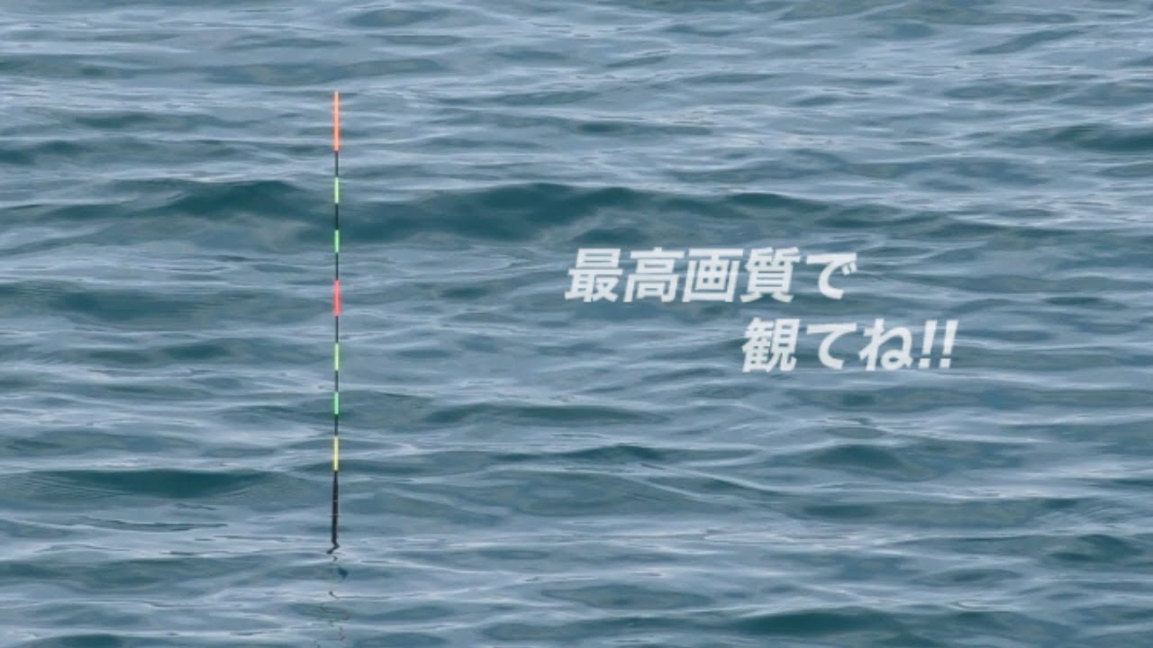 『ウキのシーン多め』ダンゴを小さくしたウキダンゴ釣り!!　#遠矢流 #遠矢ウキ遠投小
